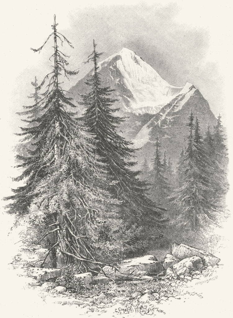 SWITZERLAND. Eiger, Path to Murren 1891 old antique vintage print picture
